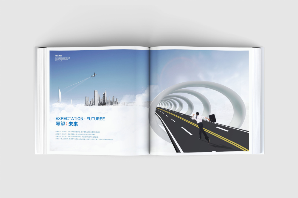 邵东县画册设计